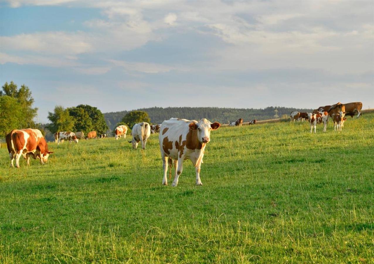 Ferienhof Kuerschner Drebach Kültér fotó