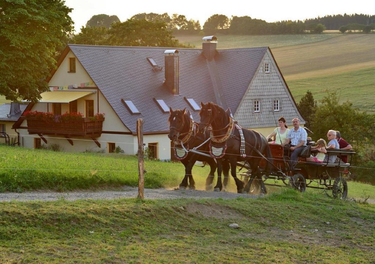 Ferienhof Kuerschner Drebach Kültér fotó