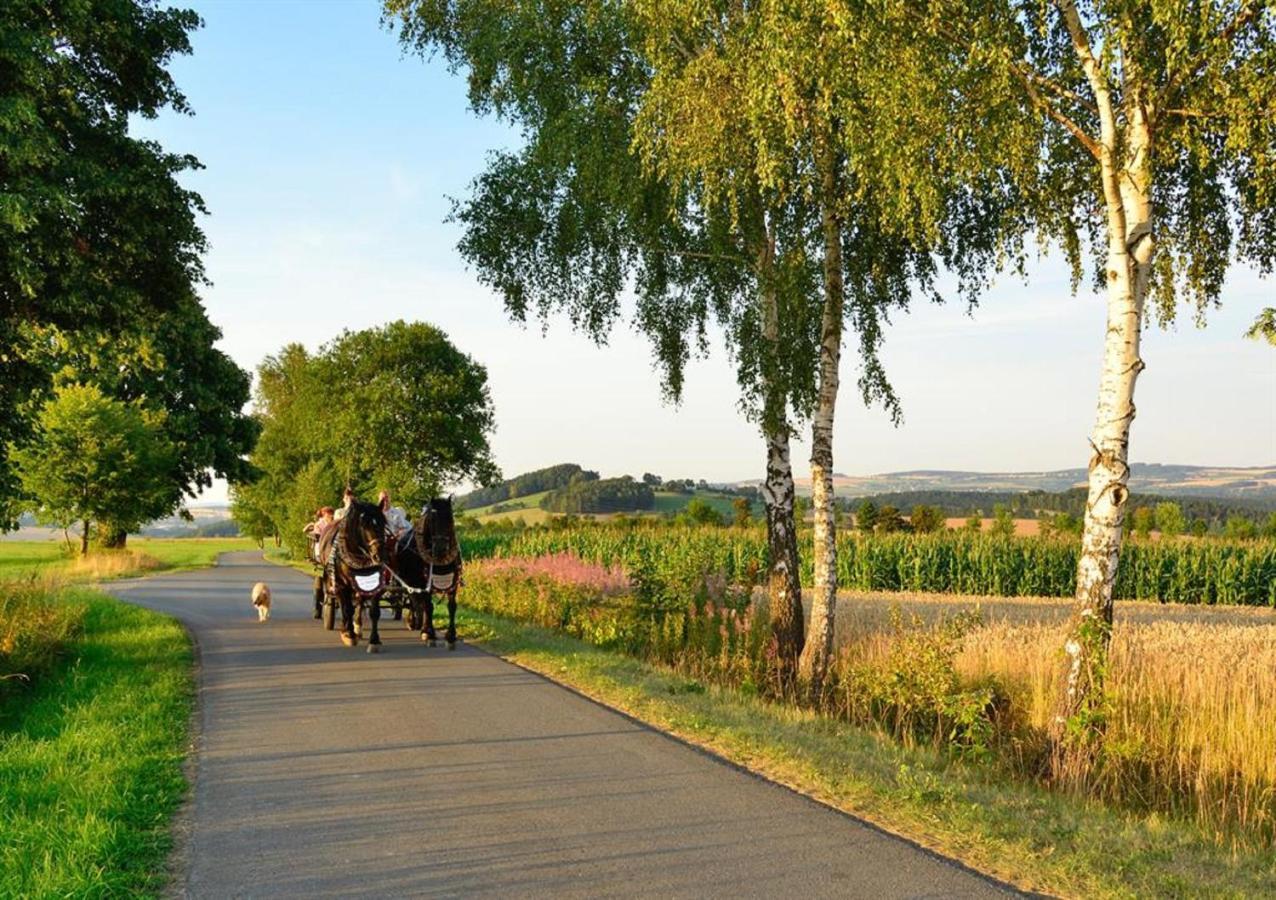 Ferienhof Kuerschner Drebach Kültér fotó