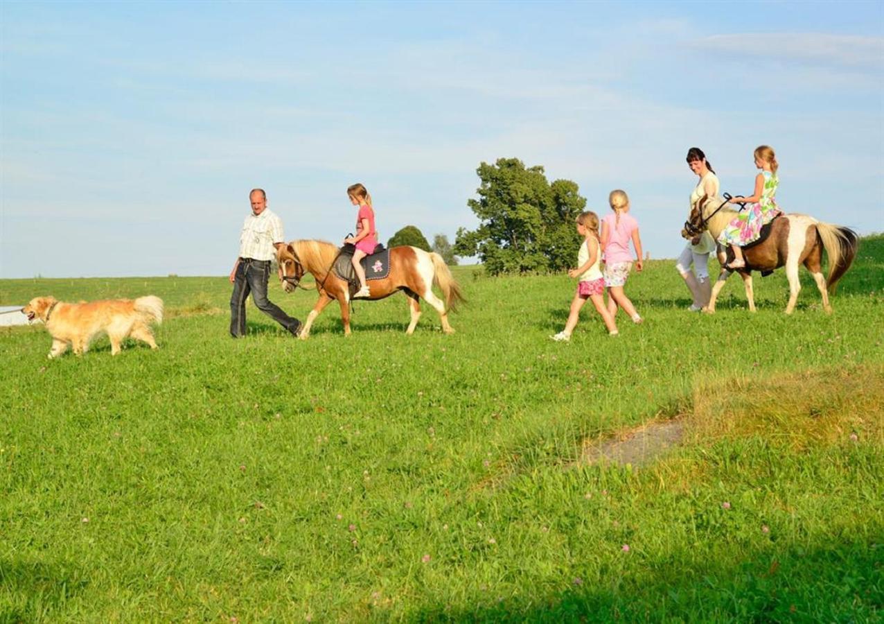 Ferienhof Kuerschner Drebach Kültér fotó