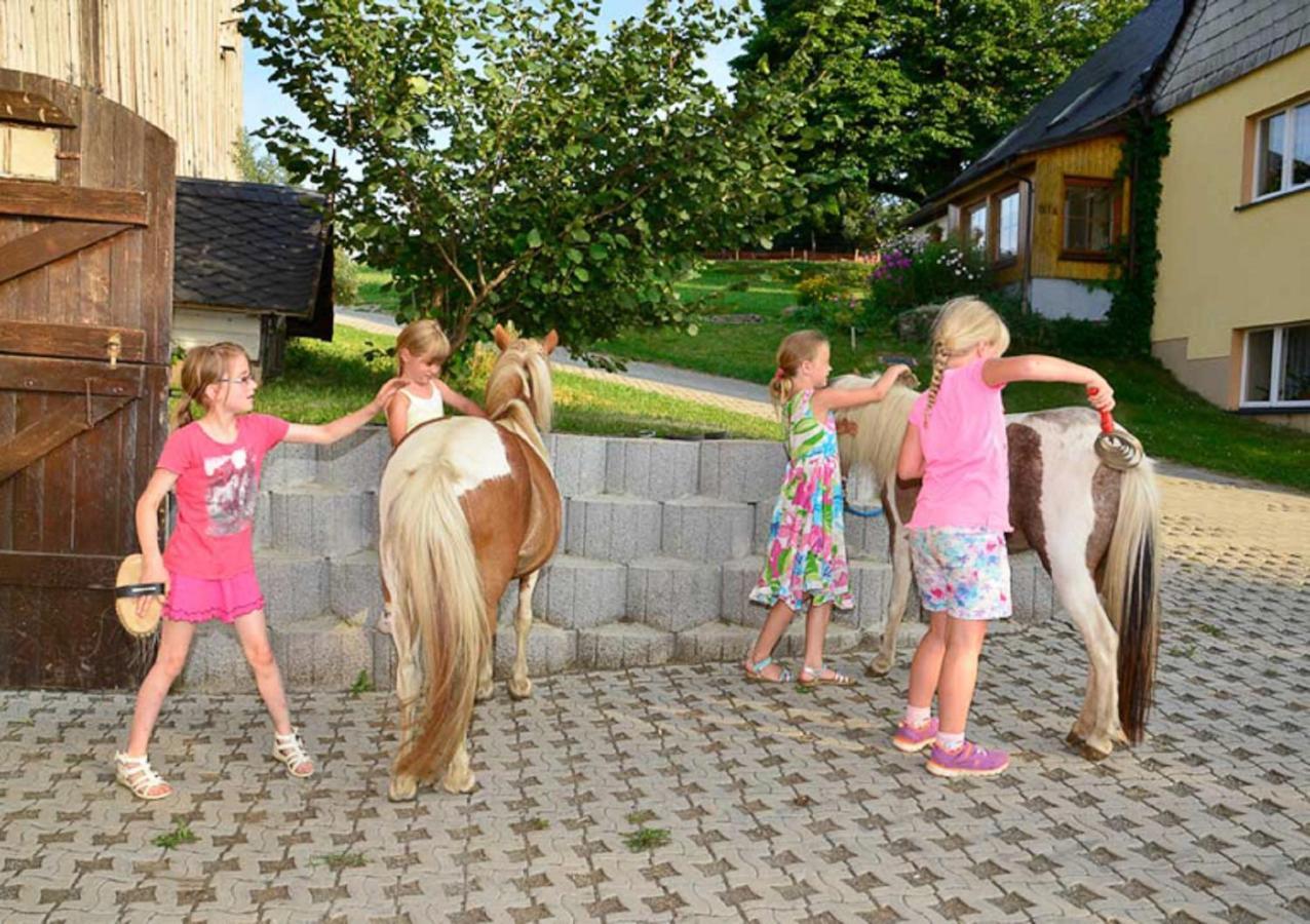 Ferienhof Kuerschner Drebach Kültér fotó
